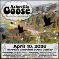 Asheville Goose Sticker