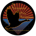 Goose Under the Stars Sticker